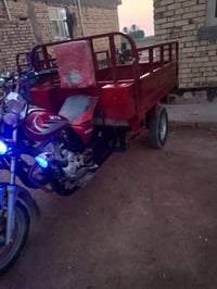 ستوته • رقم أبيض • ديوانية