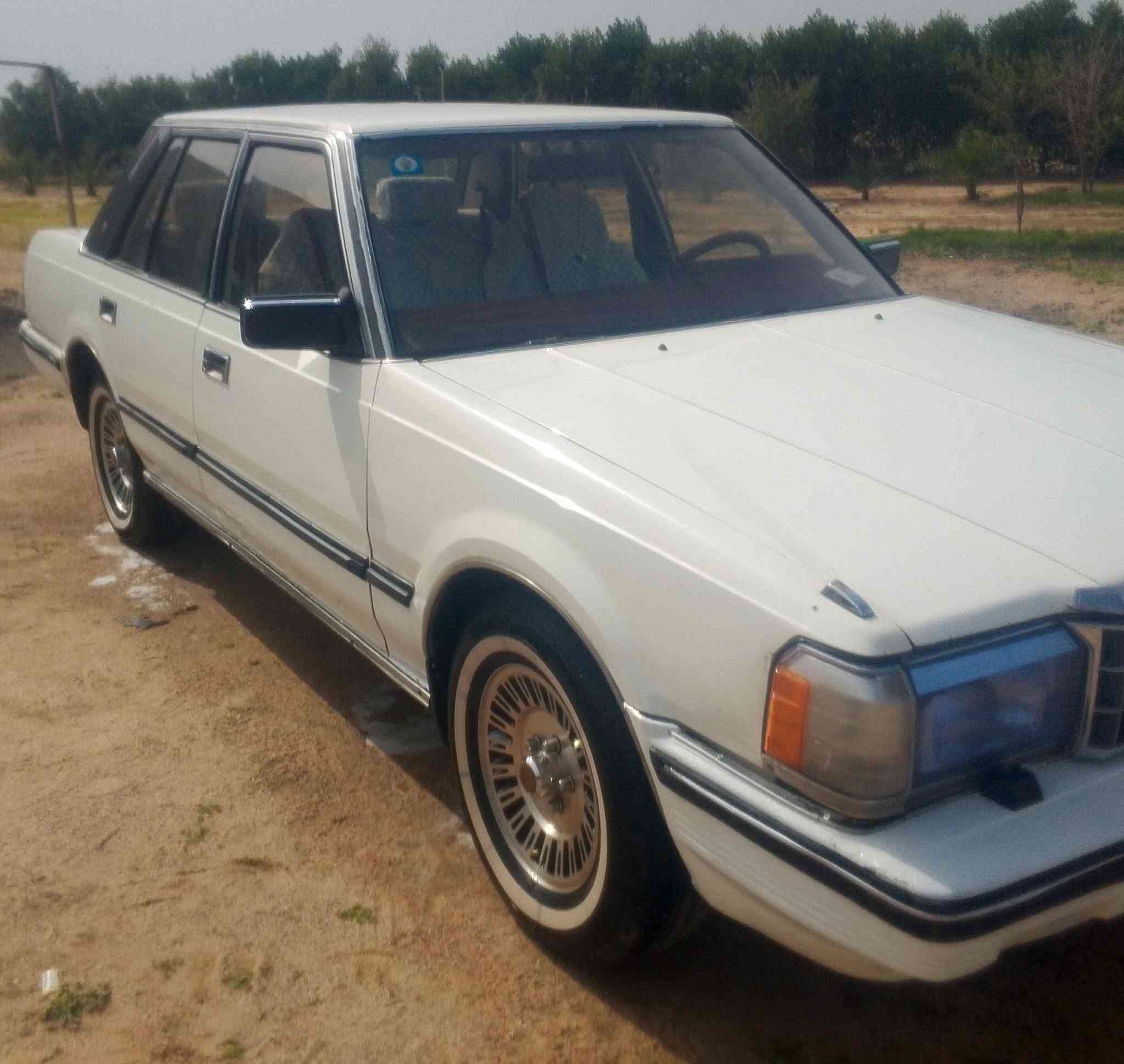 مكانها بصره سفوان 
السعر 48 وبيها مجال قليل 
رقم الهاتف ***********
