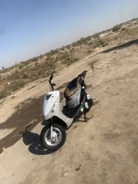 ماكس منغولي • جاهزة • مفتوحة