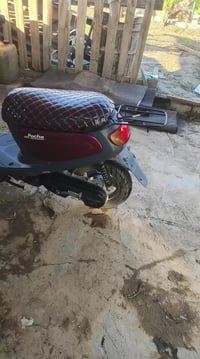 07508050452 07772720622 بس مغلف الكشن مال حاويه