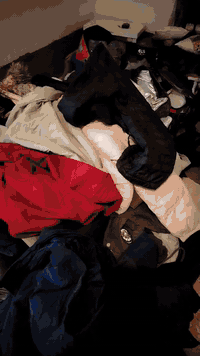 قماصل باله اوربي كريمي بديات شي ان مبطن احذيه براند متوفر شلعات ٠٧٨١١٢...