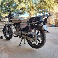 بروانه • ايراني 2024 • بدون أوراق