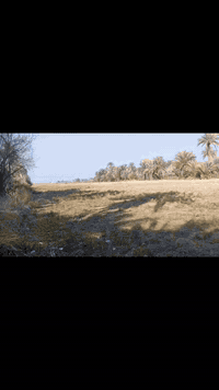 شارع الكرافه • ٤ دونم • طابو سند ٢٥