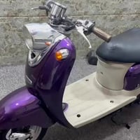 فينو • كلاسك • جديد