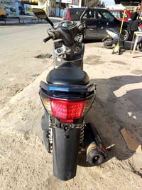 سكنس فحل للبيع مكفول كفاله عامه رايده ب1و100 مكاني بغداد جديده الاستفس...