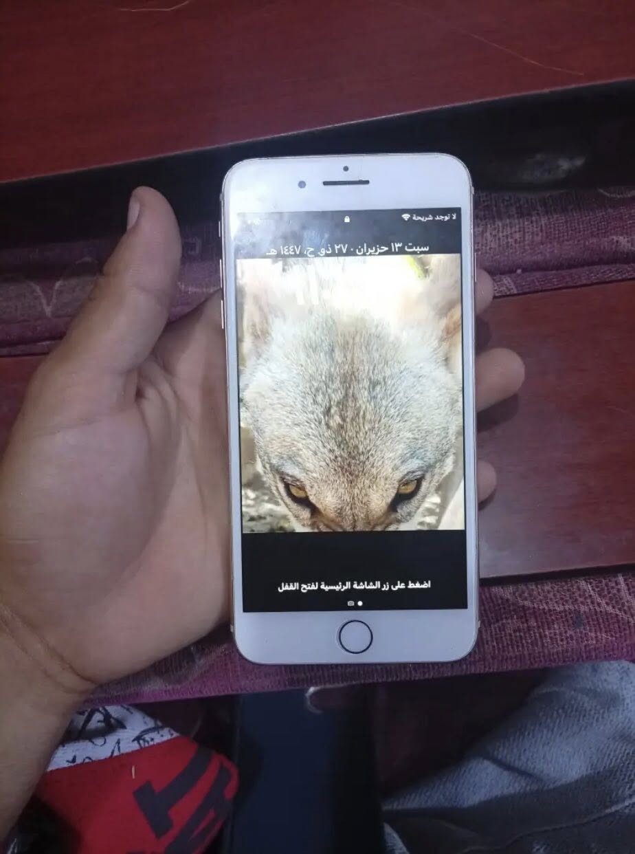 @الجميع سلام عليكم جهاز ايفون 8 بلاص جهاز مثل مدشوف بس ضهره مكسور بطاريته ١٠٠.جهاز غير ذني مكفول كلشي شغال نت سيمكارت بصمه بصمه اليد.
/لجهاز مراوس حسب القناعه او بيع 100قفل


**إذا كنت صاحب هذا الإعلان وتريد حذفه لأي سبب، رجاءا أرسل رسالة إلى الدعم الفني**