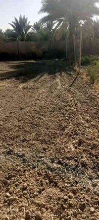 كربلاء طوريج • ٥٠٠م • سند ٢٥