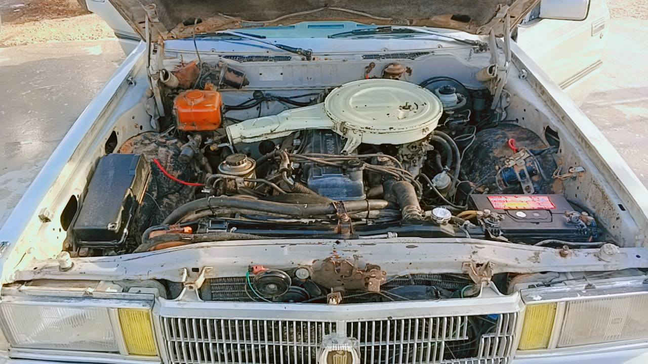 سوبر مشروح وطني كير ومكينه حاويه حداديه تخم تأيرات اوباتري جدد سياره جاهزه السنويه لل 28 مكان السياره نجف السعر 35وبيه مجال ***********
