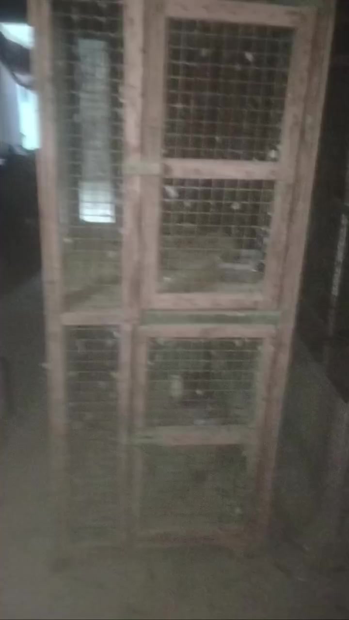 للبيع. 4 شغلات طويريج تواصل معي


**إذا كنت صاحب هذا الإعلان وتريد حذفه لأي سبب، رجاءا أرسل رسالة إلى الدعم الفني**