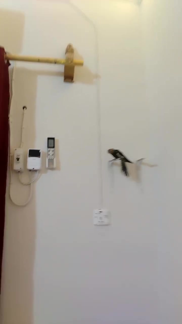 سلام عليكم
كوكتيل للبيع اليف مخلف السعر خاص


**إذا كنت صاحب هذا الإعلان وتريد حذفه لأي سبب، رجاءا أرسل رسالة إلى الدعم الفني**