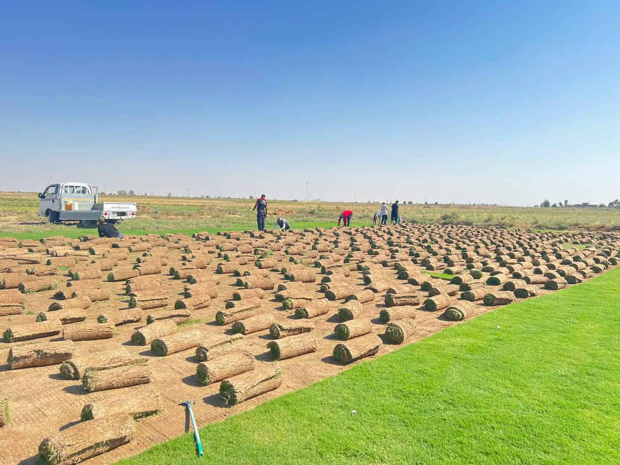 ثيل ديالى تجهيز كافه اداوار و حدائق المنزليه جميع للنواع سعر حسب الكميه تريده بس  او توصيل معه الفرش *********** الاستفسار
