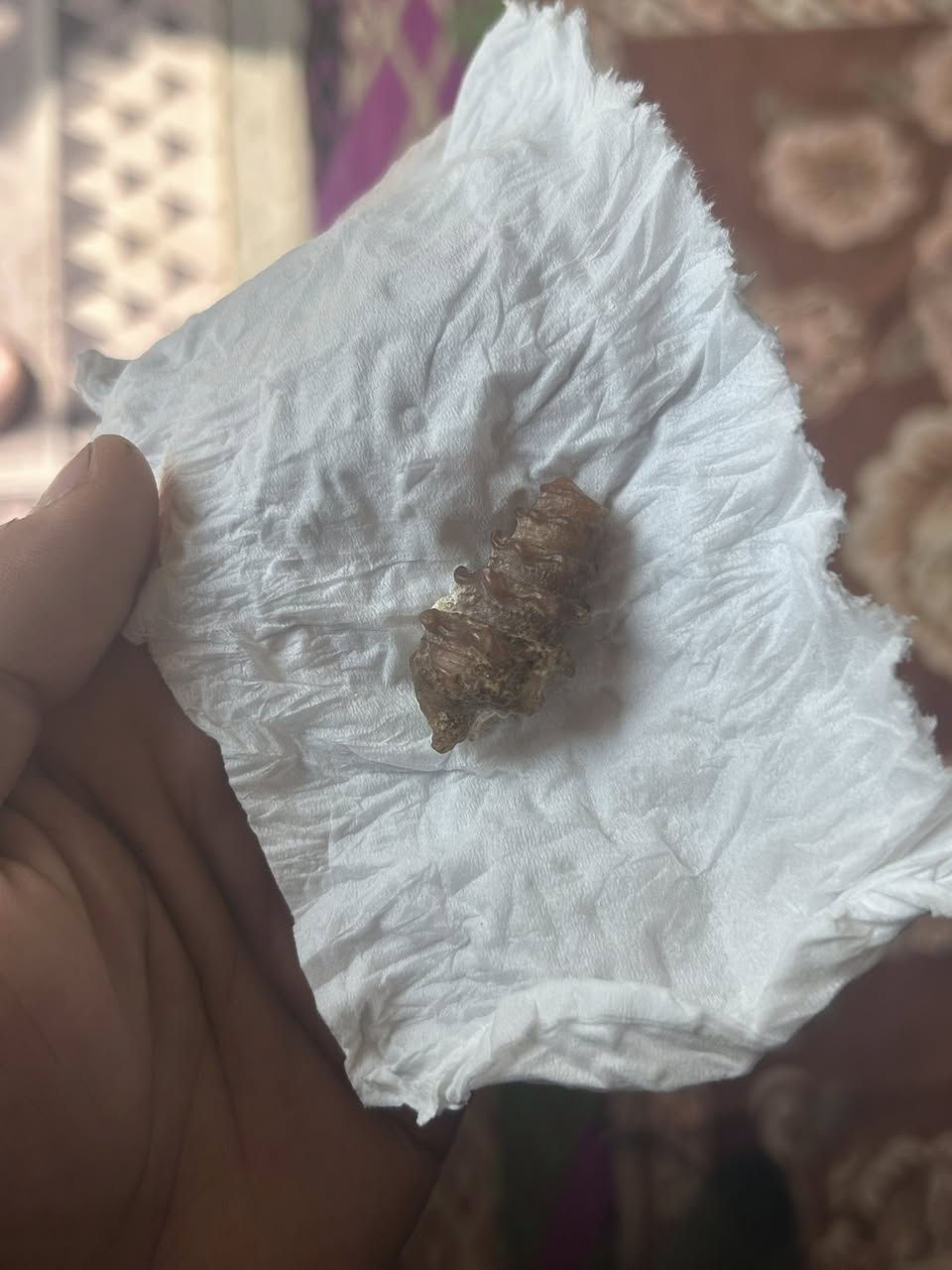 ملوي قديم ذمه /قيم واخذ يعطي سره للمشتري


**إذا كنت صاحب هذا الإعلان وتريد حذفه لأي سبب، رجاءا أرسل رسالة إلى الدعم الفني**