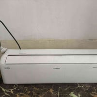 سبلت • جديد • استعمال قليل