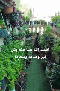 أسمدة مائية • ضمان استرجاع • شهادات تحليل