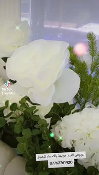 كوشات للايجار داخل مناطق الشعلة والمجاور لها بانسب الاسعار للاستفسار 0...