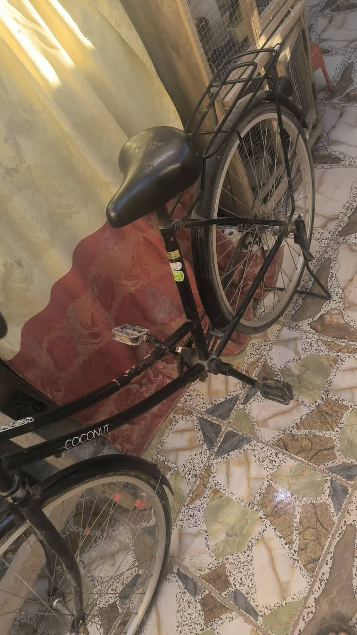 باسكلات انصاف عدد اثنين سعرهن 140 وبيهن مجال مكاني طوريج 
غير متواجد على الفيس رقم الهاتف ***********
***********
