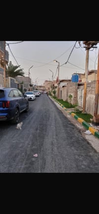 بلديات المعسكر • ١٠٠م • بناء جديد