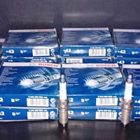 بلكات ٣٠٧ بوش ٢٠ الف تخم للاستفسار ٠٧٧٦٤١٣٦٠٦٥ يوجد توصيل. تحياتي للجم...