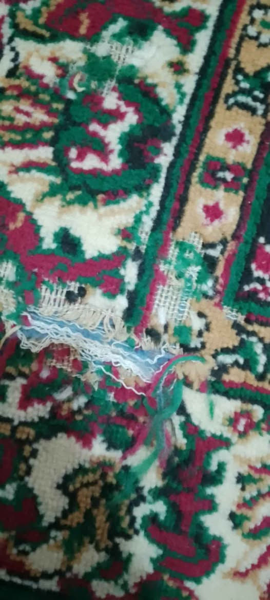 كلمن وسعره كربلاء, العراق


**إذا كنت صاحب هذا الإعلان وتريد حذفه لأي سبب، رجاءا أرسل رسالة إلى الدعم الفني**