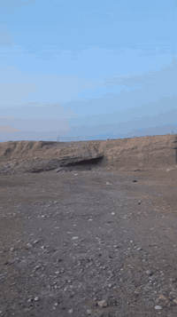 ارض سكنية • الكرابلة النهضة • ٢٠٠٠م