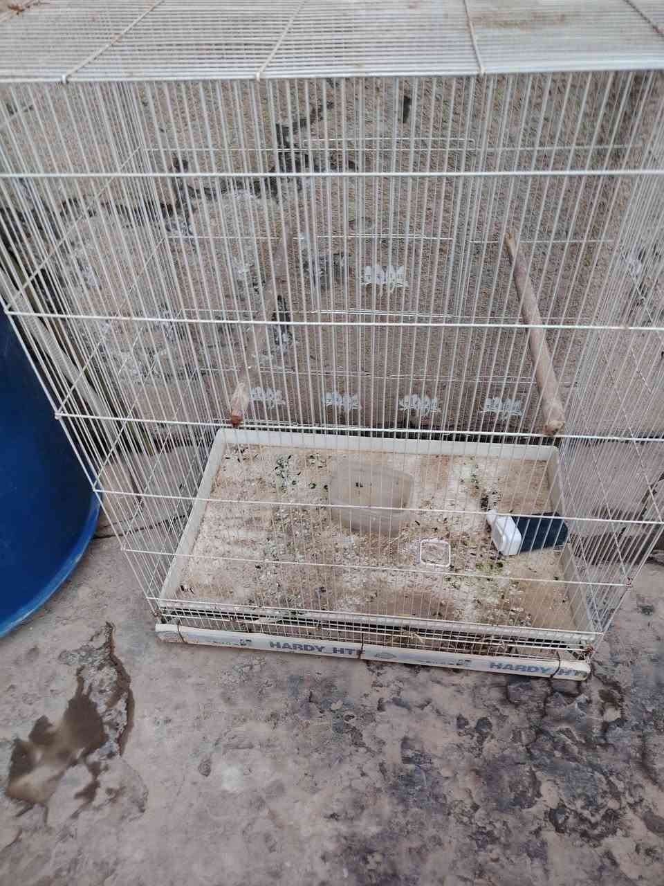 سلام عليكم قفص البيع


**إذا كنت صاحب هذا الإعلان وتريد حذفه لأي سبب، رجاءا أرسل رسالة إلى الدعم الفني**