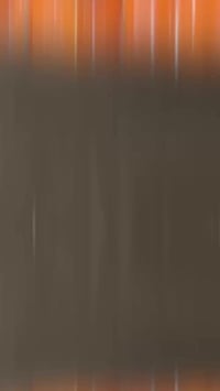 البصرة • توصيل مجاني • ١٠ كغم