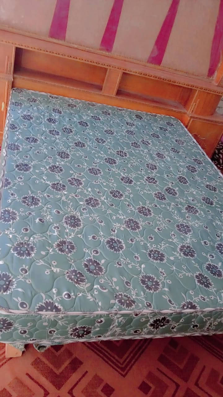 سلام عليكم اخوان عندي زاويه للبيع السعر 100عندي مرايه كامله 150عندي تاج وجربايه ودوشك كامله السعر 250 كربلاء حي المهندسين قرب الف دار تصال واتساب ***********
