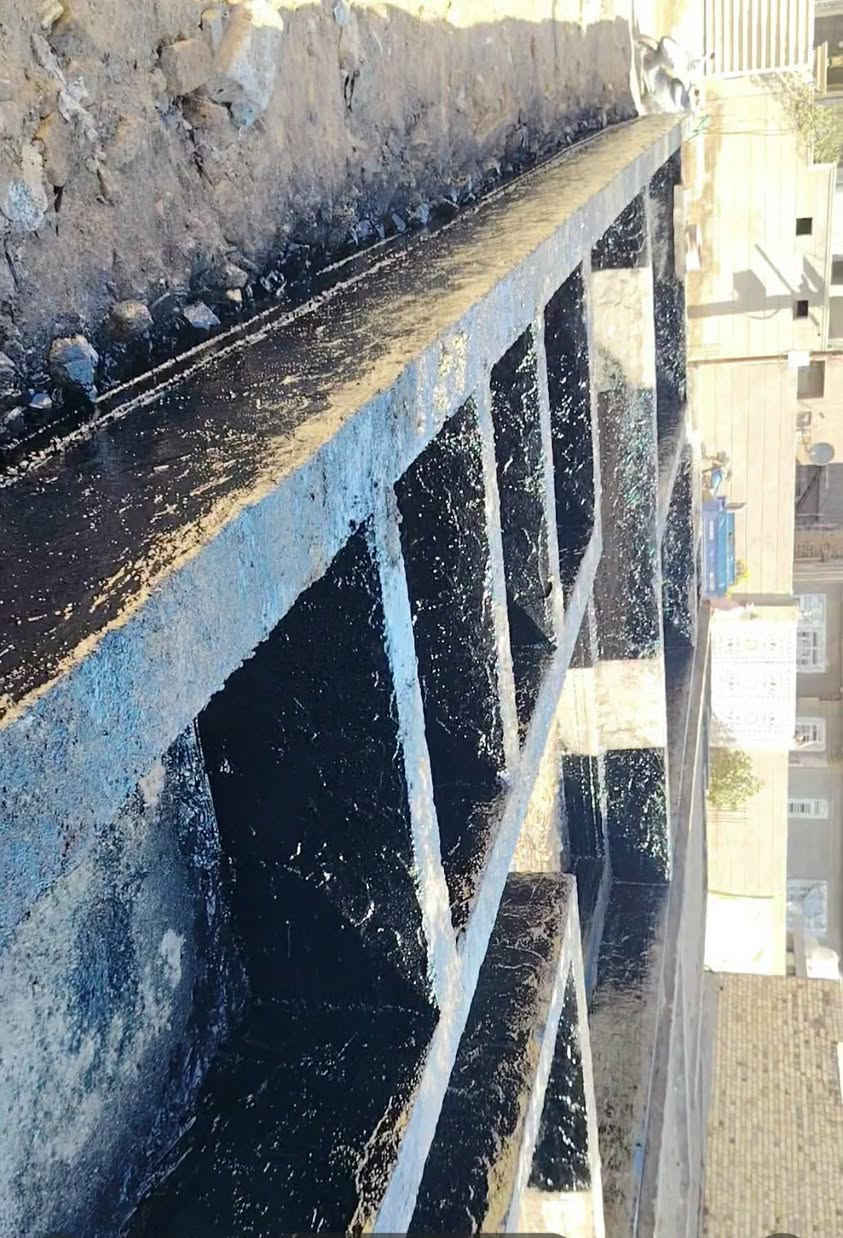 بتلو صب درجه اولى شغل شركة زراعي طابو صرف مرقمه بالبلديه شارع نظامي مي ومجاري كامله مساحتها ١٦٠ م. الواجهه ٧،٥ والنزال ٢١ العنوان  ام الخيل الثانيه خلف سكة القطار الفرع الثاني على اليسار  شارع المسبح الاولمبي


**إذا كنت صاحب هذا الإعلان وتريد حذفه لأي سبب، رجاءا أرسل رسالة إلى الدعم الفني**