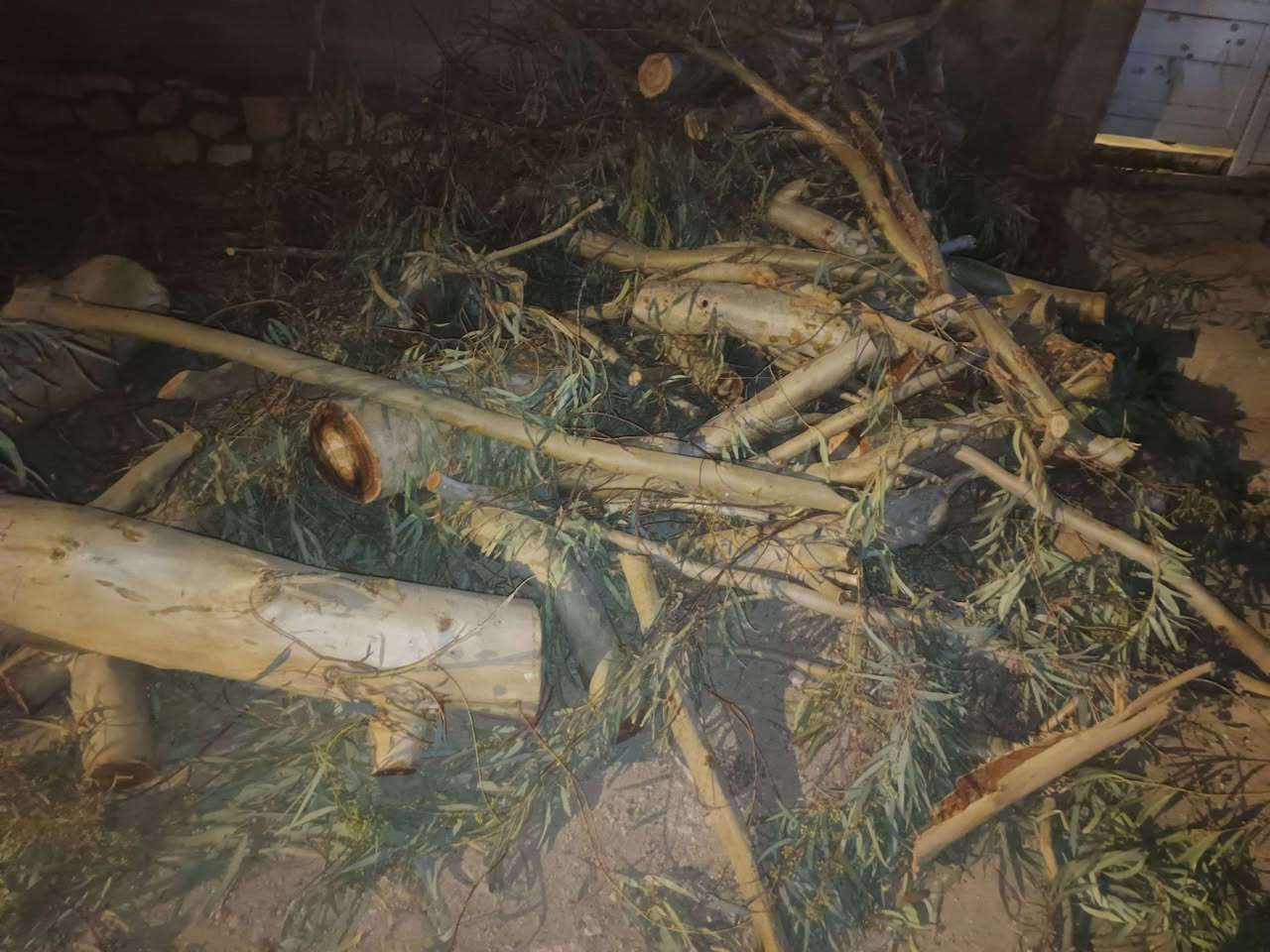 السلام عليكم حطب للبيع (حي الامين) تواصل
‏‪***********‬‏ اتصل
