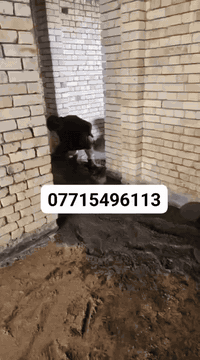 *********** سلام عليكم ورحمت الله وبركات حنه جماعت الصب نصب صبت نضافه مالت بيت وتصليطح صطح الي يتصل علينه ماونقصر داخل البصره شقنه
