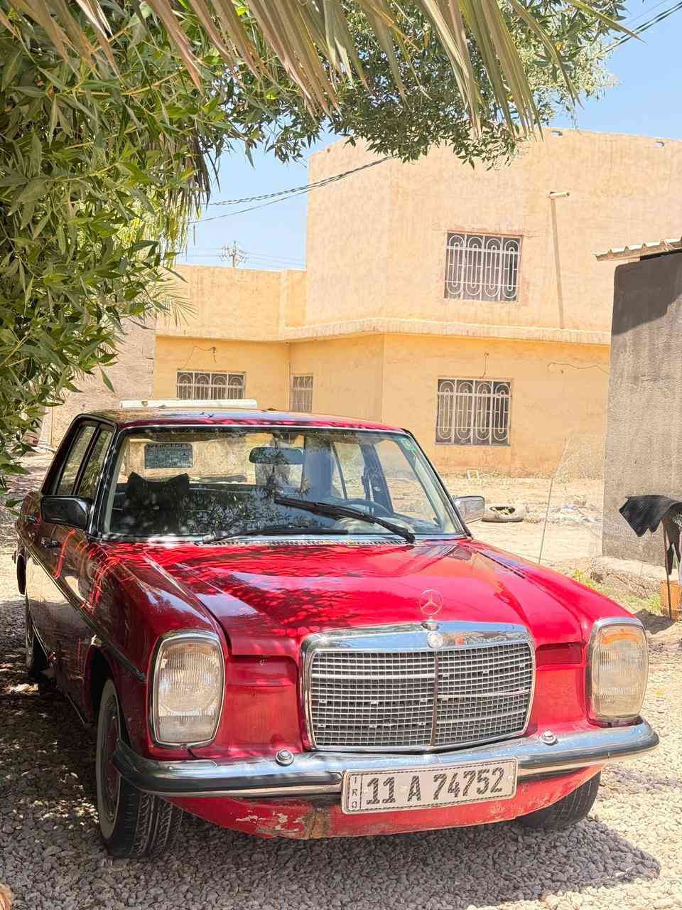 السلام عليكم
مارسيدس بترة مديل 1976

 لون مميز ورقم مميز  بغداد

مكينة وكير  شرط كفالة

كير اوتماتيك ٤ نمار

تخم تايرات

 كهربائيات كلهن شغالة

حدادية
السعر 55وبية مجال للطيبين 

مكان سيارة بابل حلة

***********
