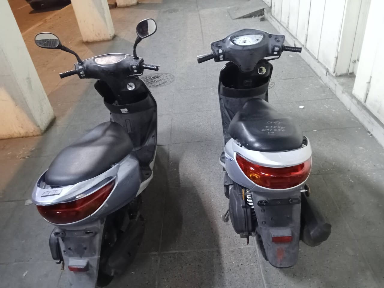 السلام عليكم شباب البغبغا صارلهة 8 أيام والبريز صارلهة شهر ونص ابلاديات كفرات كلهه  ختم وية المكينة وكهربايات كلهن شغالات شلعة ومعدل ونعومة تأكل الكاع اكل جديدة بمعنة الكلمة العنوان بغداد باب المعضم ولا ستفسار ***********
