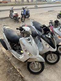 ماكسات منغولي • شغالات • فلكة القاضي