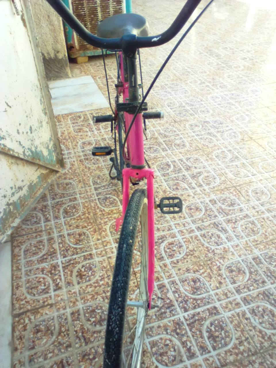 السلام عليكم باسكل حاوية للبيع الحجم 26 السعر 90 وبي مجال المكان الديوانية قضاء السنية قرب الاقواس الاتصال والاستفسار على الرقم ***********
