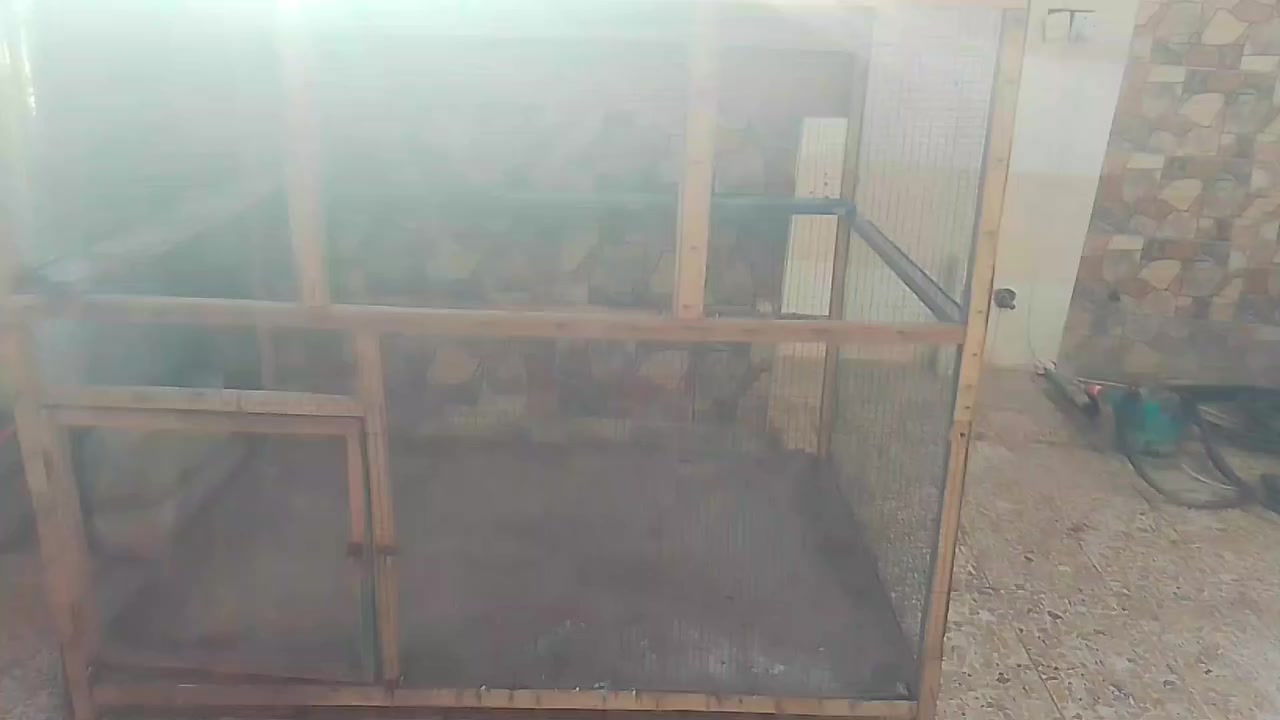 قفص للبيع


**إذا كنت صاحب هذا الإعلان وتريد حذفه لأي سبب، رجاءا أرسل رسالة إلى الدعم الفني**