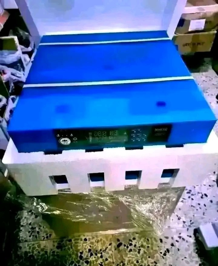 خاص لفترةةة محدودةةة
مشروع صغير بتكلفه بسيطه تربيه الدواجن هوايه جميله بارباح جيده يتوفر لدينا( مفاقس جودة عاليه و أرخص الاسعار
فقاسات فول ئوتوماتيك لتفقيس بيض الدجاج و البط و الوز و الديك الرومي وجميع انوع الطيور.    

متاح....احسن نوع فقاسات  فول اوتوماتيك وبنسبة تفقيس  اكثر من 98٪‏
مايحتاج كهرباء مستمر 
الان فقاسه اوتوماتيكية وتشتغل باتري وكهرباء 
ضمان 3 شهر
اسعار

فول اوتوماتيك
1️⃣حراره اوتوماتيك
2️⃣رطوبه اوتوماتيك 
3️⃣تقليب اوتوماتيك 

_دجاج 🐓
_سمان 🐤
_قبج  🐔
_بش 🦆 
_بط 🦢 
_وز  🦢
_فسيفس 🦃

تشتغل على 7انوع من البيوض 

مفاقس سمارت الذكية
  تكدر تتحكم بي عن طريق الوي فايف 

 مضمونه  مئه بلمئه ومجربه 

ضمان 3اشهر

1مفقس 26بيض بسعر 105الف 

2مفقس64بيض بسعر 210الف

3مفقس128بيض بسعر270الف

 المفقس   یشتغل  باتري وكهرباء وتحويل تلقائي

توصيل لكل محافضات 7الف للحجز ارسل رقم ولعنوان عل خاص  احجزلك  او اتصل
***********
