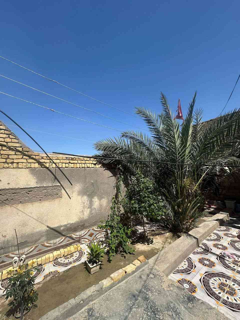 اخوان بيت 🏠 لبيع بحي المحكمه زراعي بناء حديث كل طابوك اعله من شارع بمتر مساحة البيت 450 البيت ركن صاير  
التواصل مع هذا رقم مكلف بنشر فقط 
     ***********
