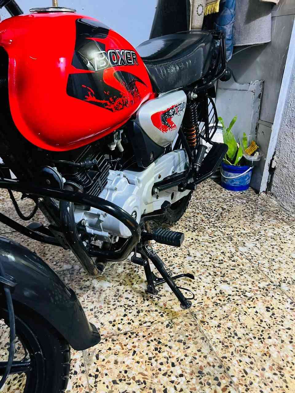 وراق صوليات شرط ترقيم بيهن ضمان
بوكسر نازله ٢٣ شكل ٢٣
كفاله عامه من برغي دراجه
زيرو زيرو كلش نظيفه جكد متصور ماشيه ٢٠الف حقيقي
جانت مظمومه
مكاني بلديات حي ضباط ثانيه ***********
