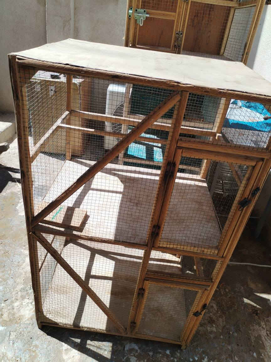 اقفاص دجاج ٣ كبير خشبية.. واخد صغير وقفص كبير بلابل.. سعرهن كلهن.. ١١٠..اتصال ***********.. العنوان حي العامل.. قرب ساحة الاحرار كربلاء, العراق
