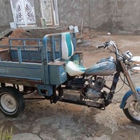 ستوته للبيع اوراق اصولي  07822704359