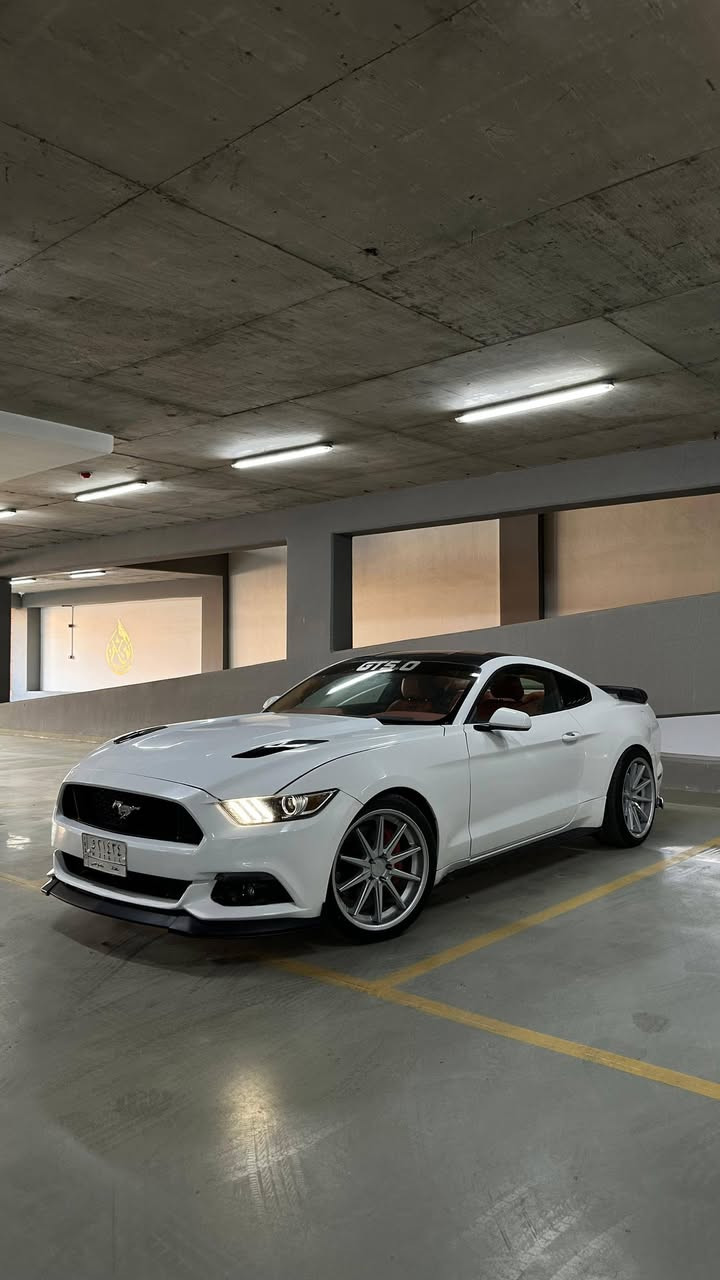 للبيع فقط السعر 108 ورقه 
موستانك GT موديل 2015 رقم بغداد تحويل مباشر 
للاتصال *********** و
محرك 8 سلندر 5000 كير اوتو محرك وكير نظاف 
التبريد شغال 
عليها اضافات .ماشيه 84 الف مايل
بصمه.  شاشه صغيره كاميرا  . تشغيل عن بعد 
كير شفتات بالاستيرن 
تخم تاير جديد صدر نظيف 
وارد امريكي بيها صبغ مكانات 
المكان بغداد الزعفرانية
