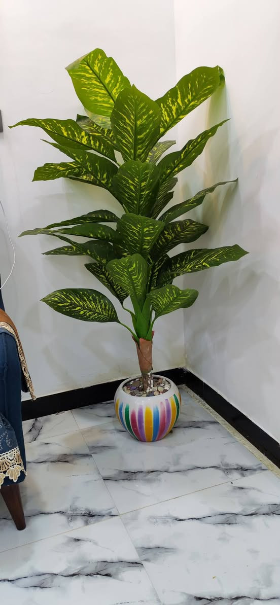 ميز طعام نضيف سعره ٢٠٠ قفل قبل شهر ماخذي ٢٦٠ 
جربايه سعر ٣٥
زاويا سعر ٢٥
(***********) اي استفسار
