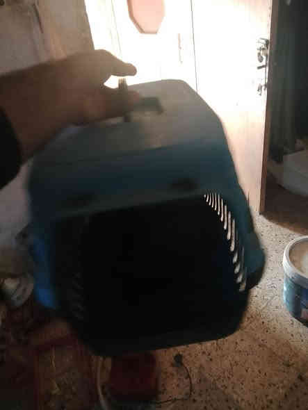 استاند قفص للبيع
وقفص قطط وكلاب هم للبيع 
قيم وخذ 
مكاني بغداد حي الاعلام 
تفاصيل اكثر خاص او تصل *********** وبي واتساب
