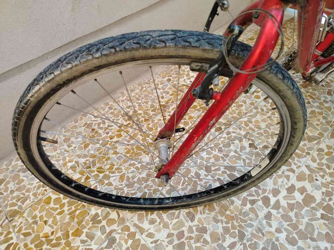 بايسكل للبيع شرط النظافه كلشي ما يعوزو كامل مكمل السعر 50 وبي مجال الشراي يجي خاص


**إذا كنت صاحب هذا الإعلان وتريد حذفه لأي سبب، رجاءا أرسل رسالة إلى الدعم الفني**