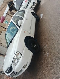 فيرنا • ٢٠١٢ • رقم كربلاء