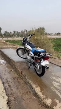 تايكر سونك • ٢٠٢٣ • معدل ترايك