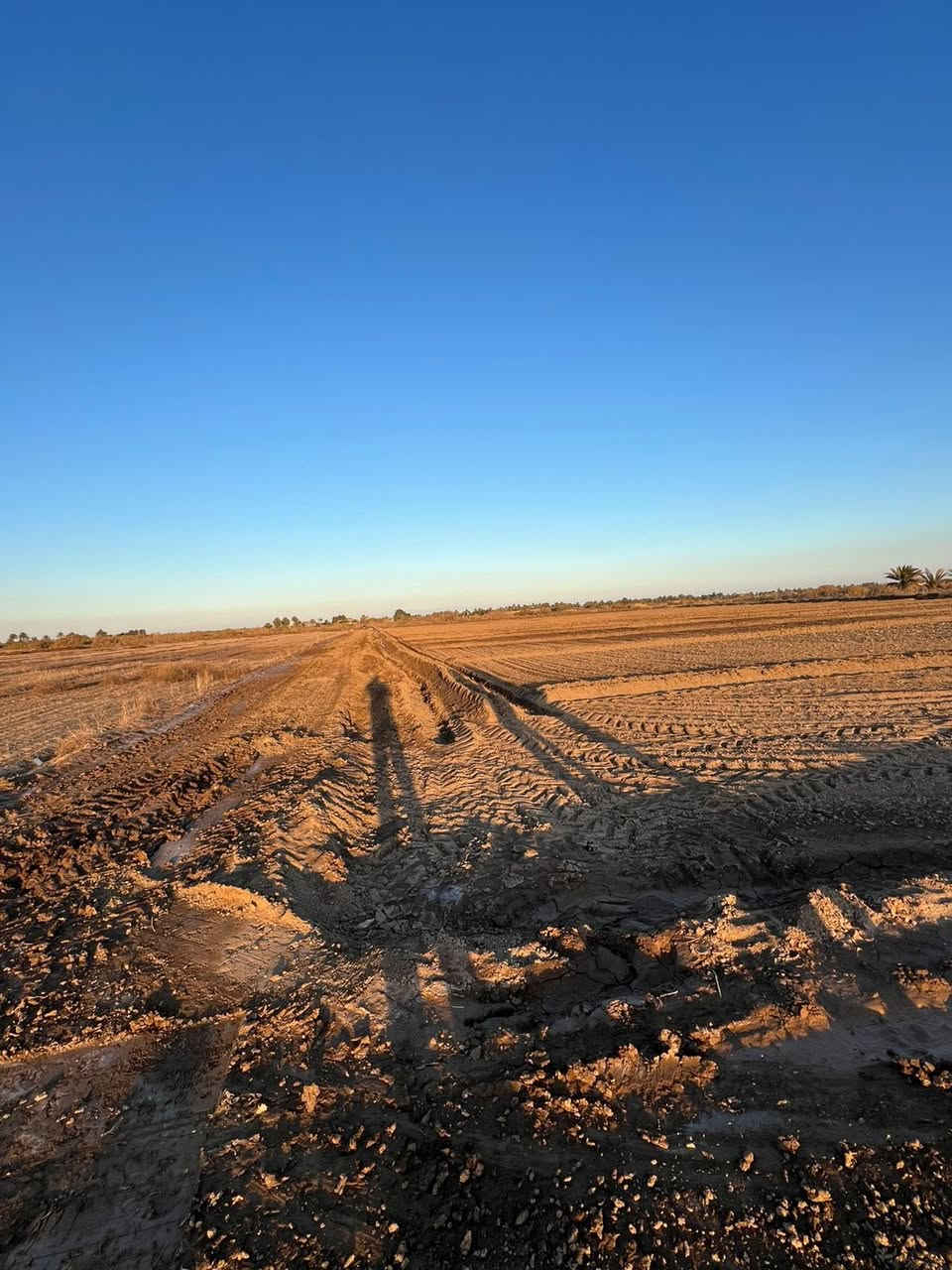 فرصه مميزه وبيع مستعجل ك قطعه ارظ طابو زراعي عقد 35 

ملاحظه ----- الارظ مشموله بمعاملت التطويب 

مساحه 6 دونم كافت الخدمات ماء سقي صيف وشتاء ماء أسأله

 طريقين  الى الارض قريب ع شارع العام 400 متر تقريباً 

📍العنوان حله وردية خارج قريت البو طيف قرب جدول بابل موقع مميز جدا 

💸سعر الدون الواحد14مع المجال      

☎️للاستفسار ***********
