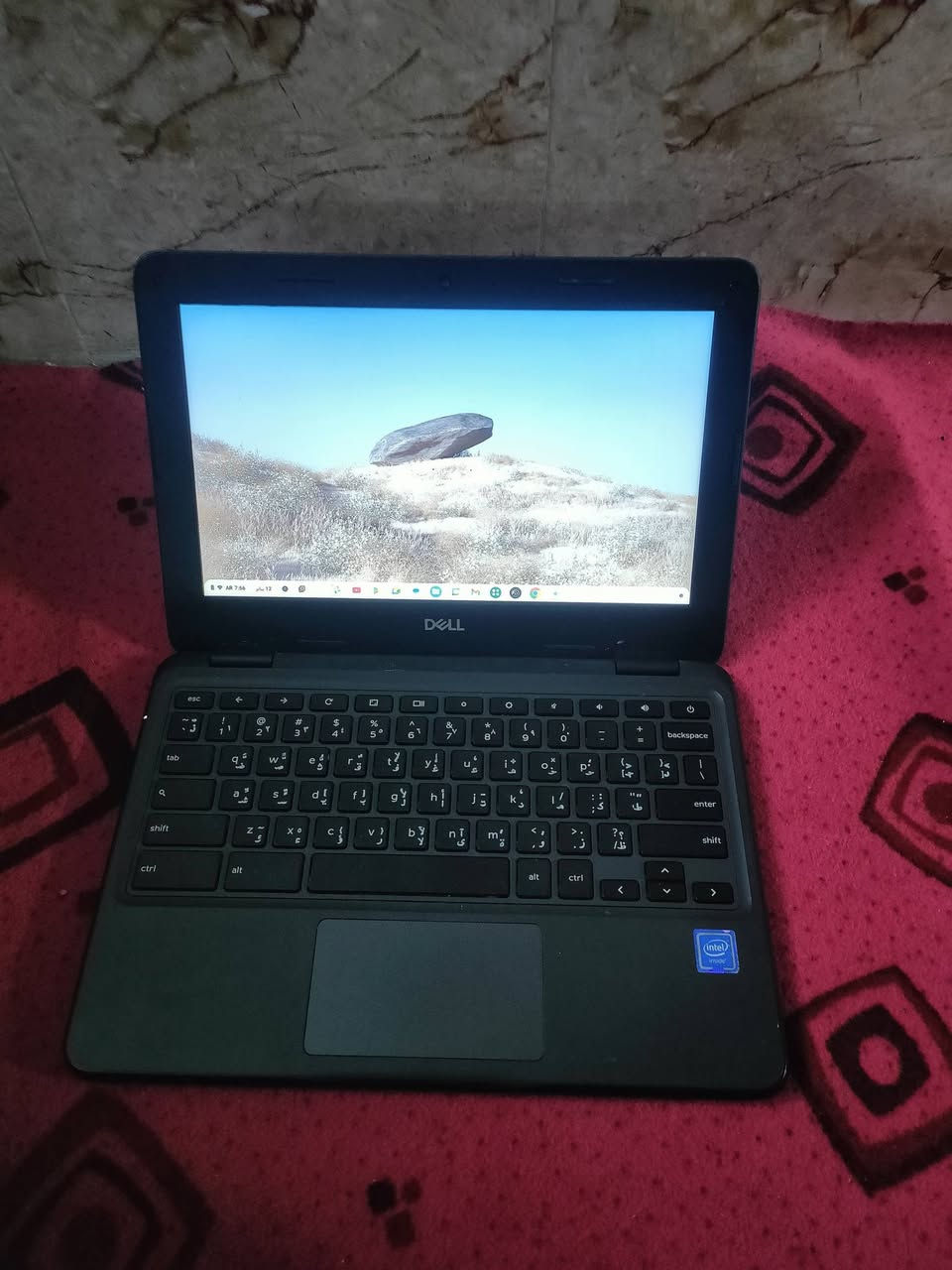 لابتوب Dell حجم صغير (كروم بوك)
​حاسبة نظيفة وعملية جداً، تفيد بشكل أساسي:
​للطلاب (دراسة، محاضرات، أبحاث).
​تصفح انترنت، يوتيوب، وأفلام.
​شغل مكتبي خفيف وتطبيقات الويب.
​شاشتها قياس 11.6 بوصة (حجم ناعم وسهل التنقل).
​المميزات:
​بطاريتها قوية وتطول هواي.
​الجهاز متين ويتحمل صدمات.
​نظامها سريع جداً وخفيف بالاستخدام.
​السعر 115 ألف دينار.
المكان: بغداد - حي أور (حي الكوفة).
توصيل: متوفر لكافة المحافظات.
​للتواصل والاستفسار: ***********
