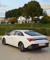 فول مواصفات • ٢٠٢٤ • رقم اربيل