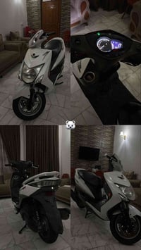 سكنس لد • ياباني • ٢٠١٥